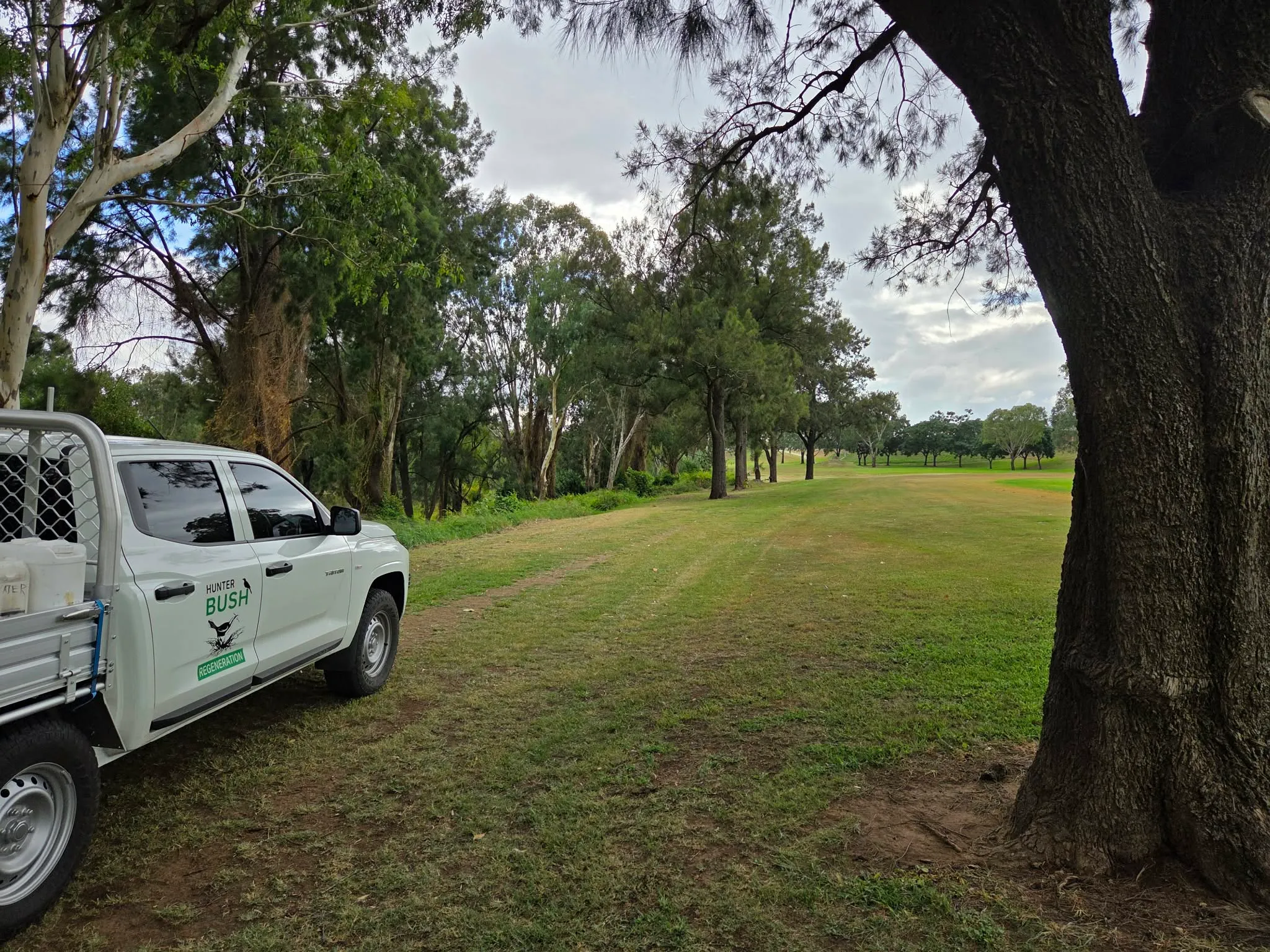 Hunter Bush Regeneration ute at a bushland asset protection zone maintenance site