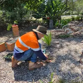Crew member planting native tube stock