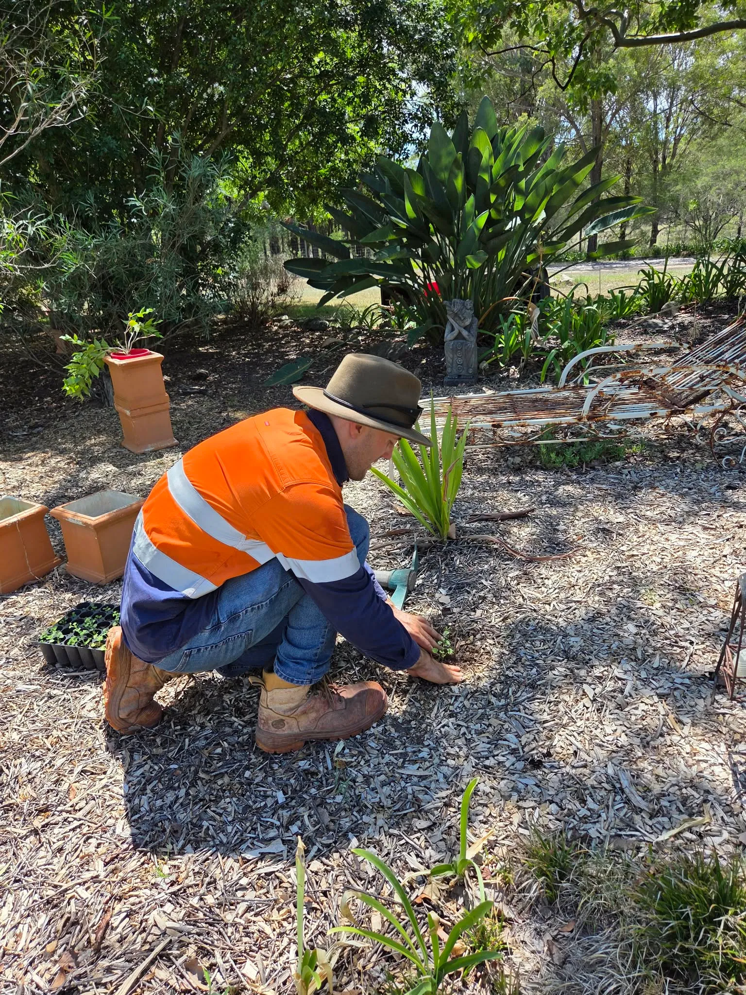 Bush regeneration crew planting native tube stock