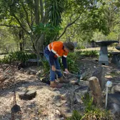 Crew member maintaining a native garden bed